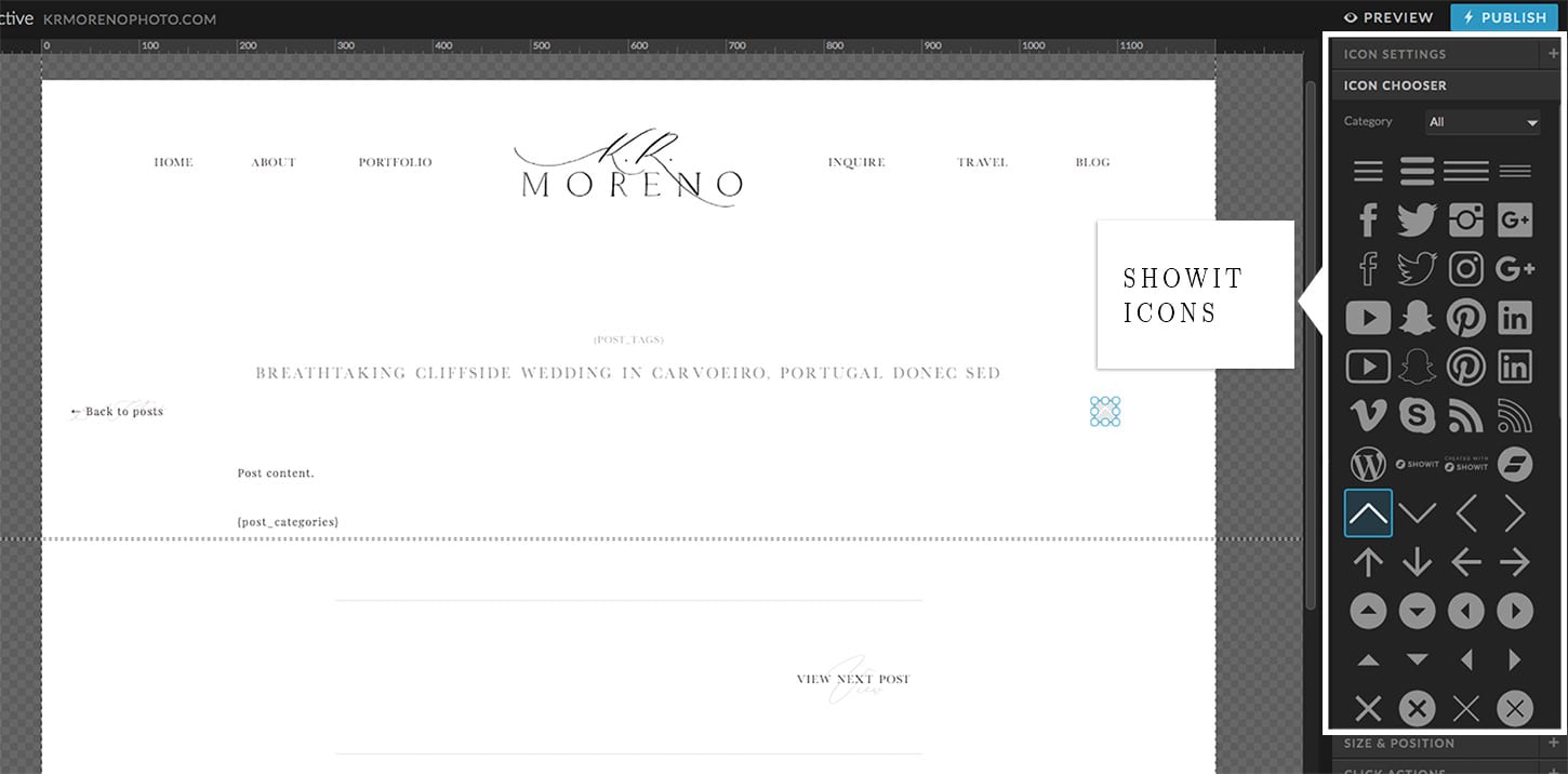 Showit Icons - Showit and WordPress - Moreno Collective