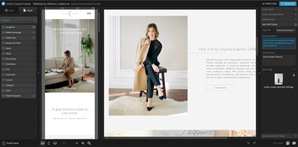 Showit and WordPress SEO settings