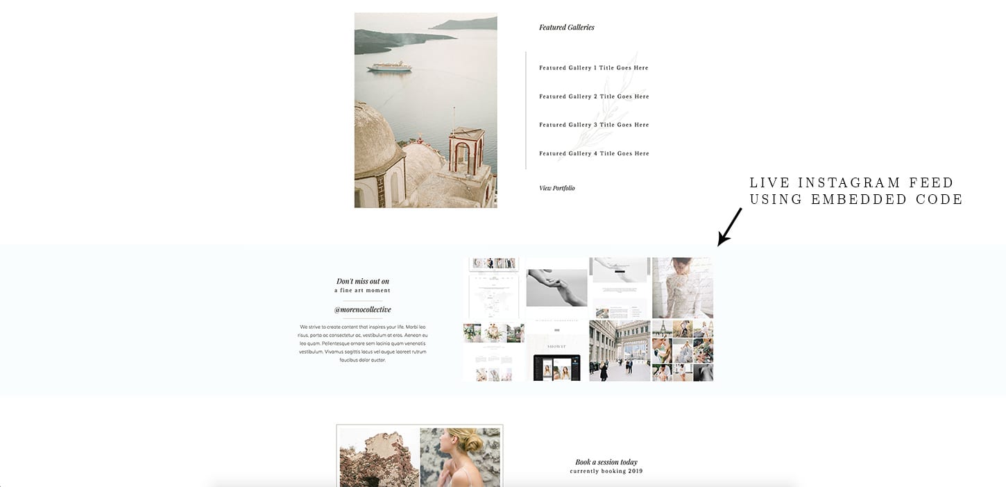 Embedding Code in Showit and WordPress - Moreno Collective